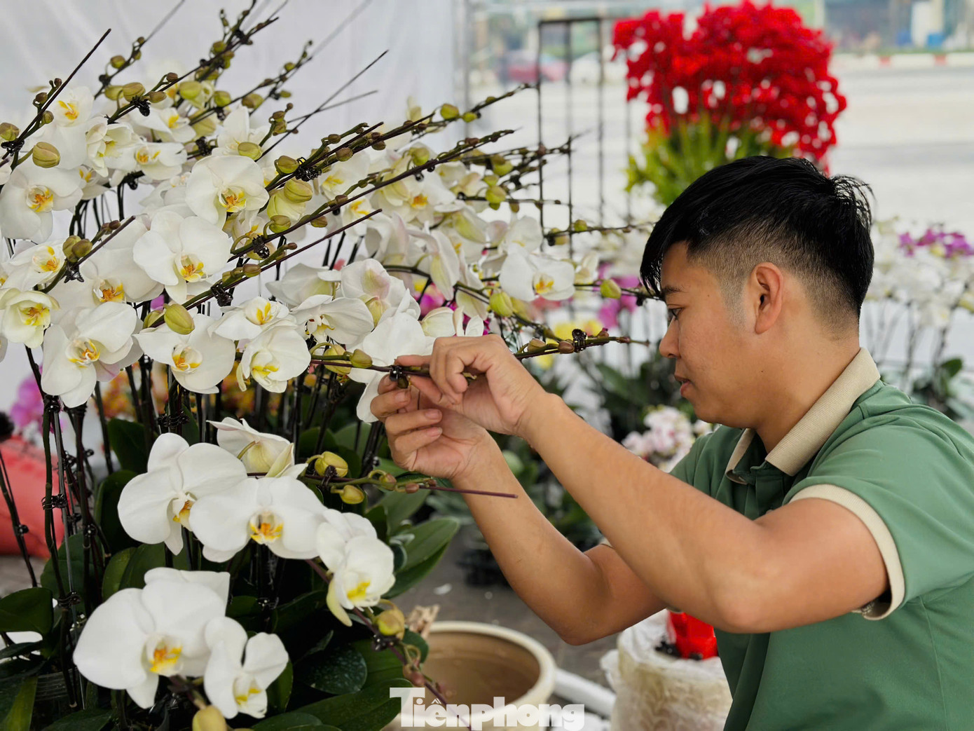 Nhiều thợ cắm hoa cho biết, những ngày cắm hoa Tết kiếm được hàng triệu đồng/ngày, tuỳ theo tay nghề từng thợ. Đặc biệt vào ngày cao điểm, thợ làm không ngơi tay, thu nhập có thể lên tới 4-5 triệu đồng.