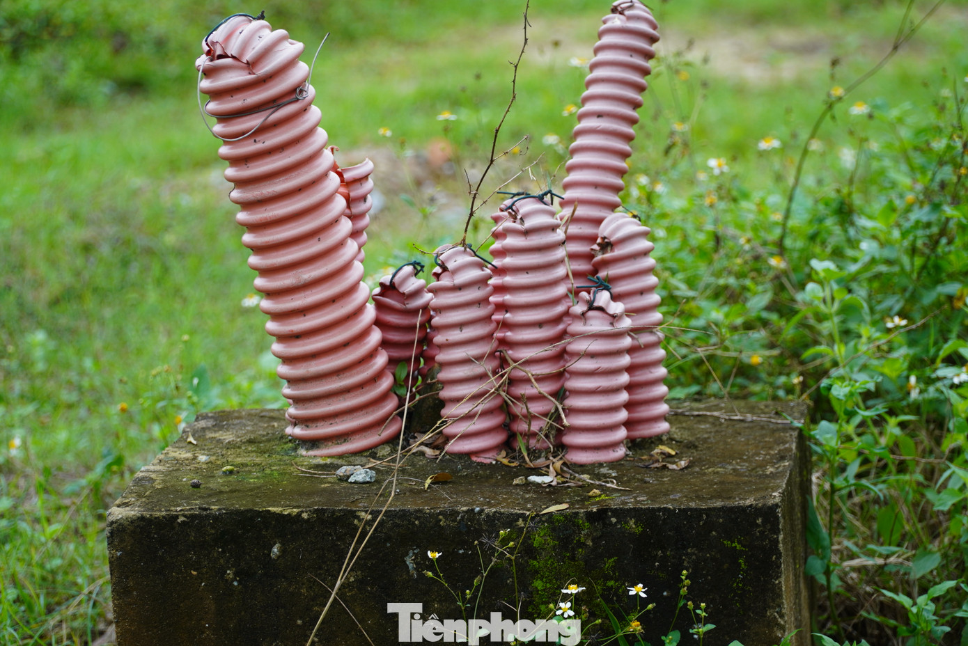 Hệ thống cáp ngầm điện bỏ không giữa bãi đất, bên cạnh đó hạng mục thuyền đón khách cũng đã xuống cấp.