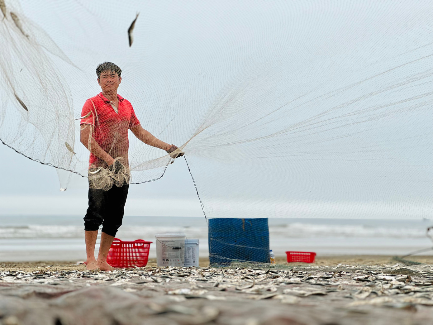 Cá trích là loài cá nhỏ bé nhưng giàu dinh dưỡng, được ngư dân Hà Tĩnh đánh bắt từ những ngư trường gần bờ. Mùa đánh bắt cá trích bắt đầu từ tháng 3 kéo dài đến tháng 5.