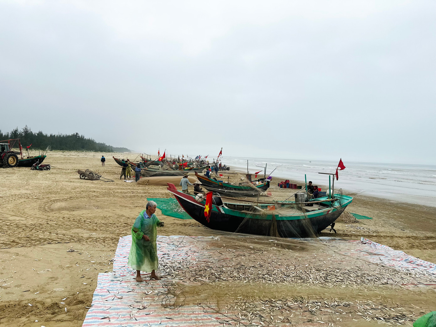 Những ngày này, sau vài giờ ra khơi, nhiều thuyền của ngư dân xã Thạch Văn, thành phố Hà Tĩnh cập bờ với khoang thuyền đầy ắp cá trích. Người dân phấn khởi, vui mừng khi cá trích trúng vụ.
