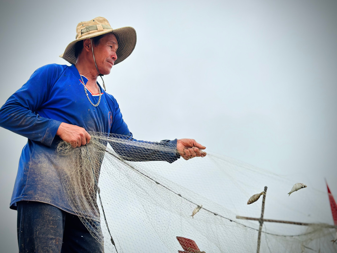 Theo ông Phạm Viết Mân (60 tuổi, trú thôn Đông Văn, xã Thạch Văn), những ngày này biển cho "lộc trời", hầu như thuyền nào ra khơi cũng trúng đậm cá trích. Ít thì thuyền cho 2-5 tạ, có những thuyền trúng hơn 1 tấn cá trích sau mỗi chuyến khơi.