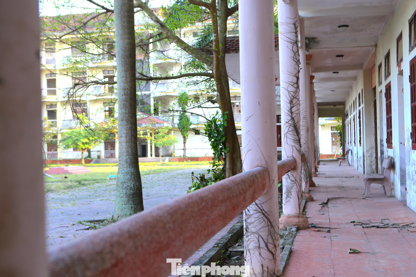 Cũng vì lý do này, từ năm 2013, Trường Trung cấp Kỹ thuật Nông nghiệp bỏ hoang đến nay.