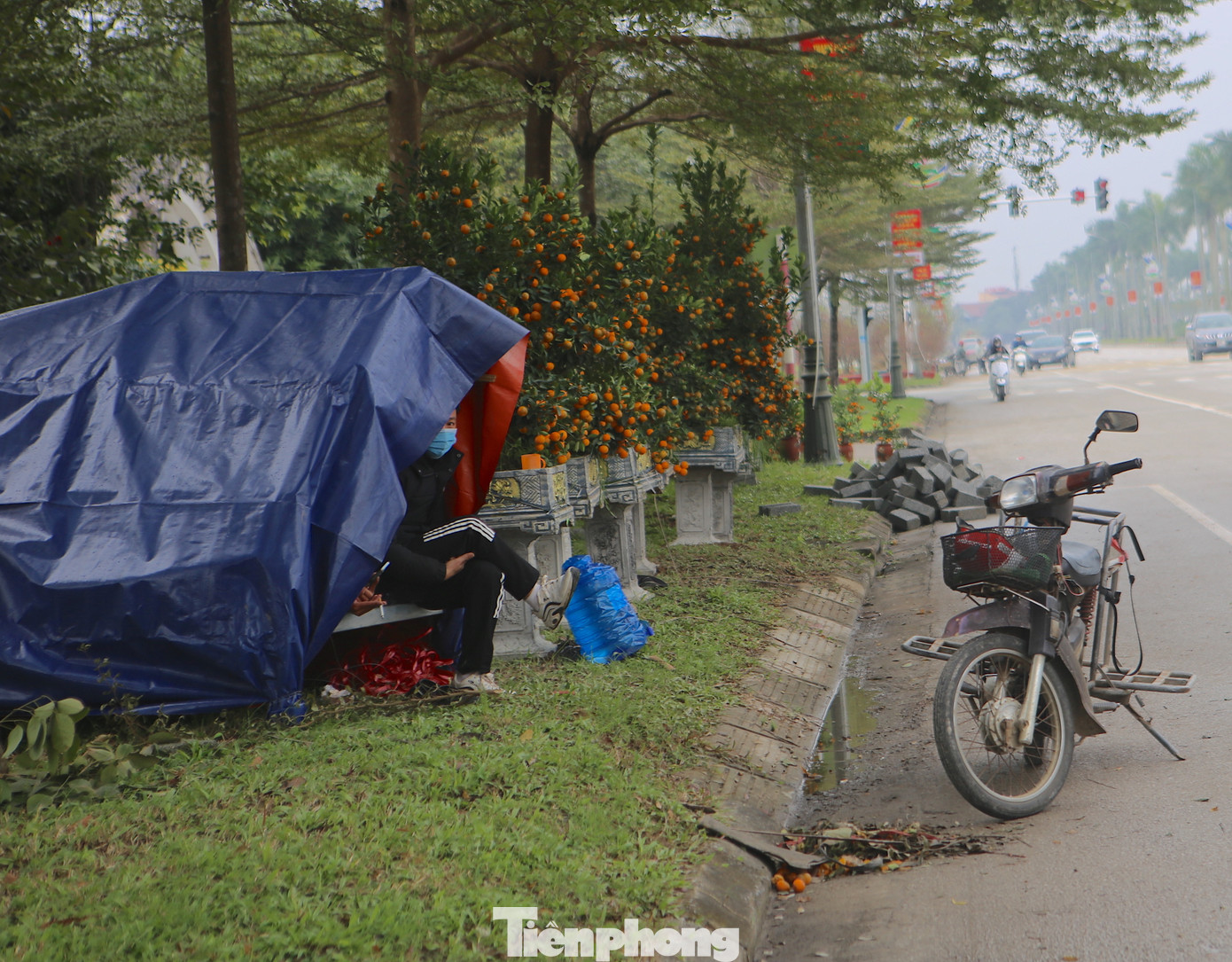 Người bán đào ngồi bên trong chiếc lều dựng tạm tránh rét ngóng khách.