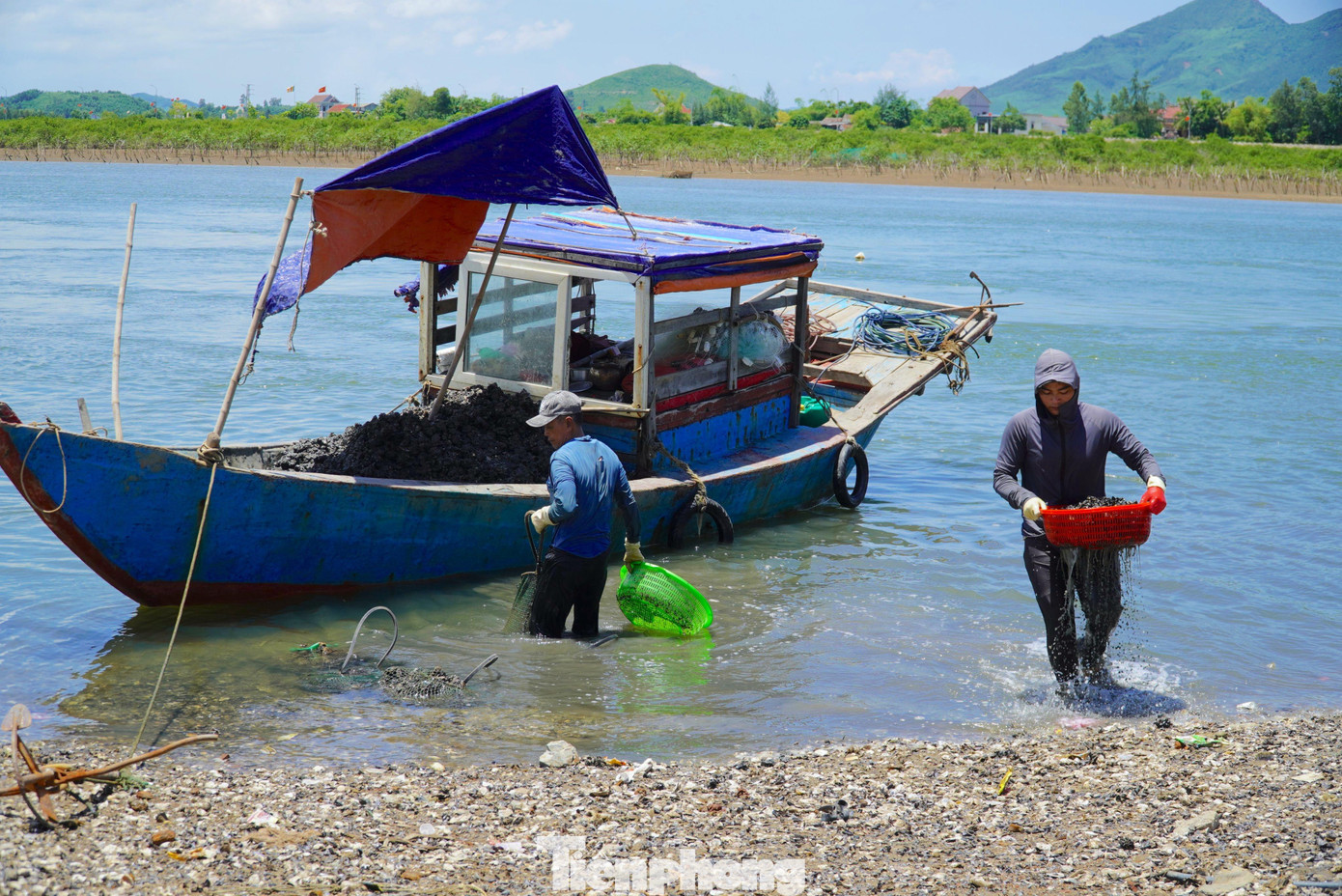 Theo ngư dân, mùa vẹm đen thường kéo dài từ tháng 3 đến tháng 10 hằng năm. Công việc không quá nặng nhọc, không gò bó thời gian, nhưng nếu thiếu đồ bảo hộ cũng khiến tay chân người thợ có thể mò phải hoặc đạp trúng mảnh sành, vật sắc nhọn dưới đáy sông...