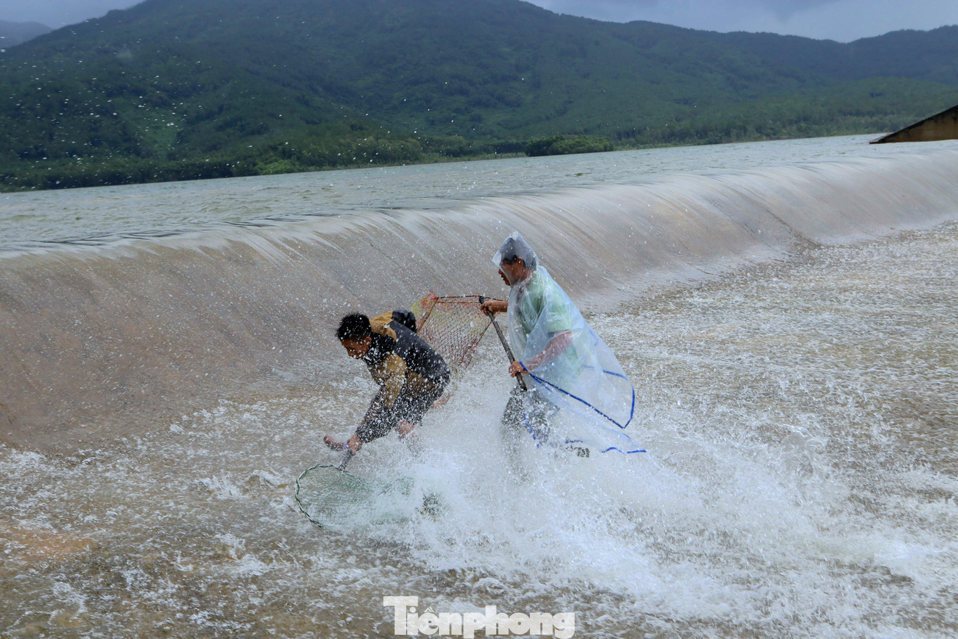 Ông Phan Anh Đức, Chủ tịch UBND xã Thuần Thiện cho biết, sáng 29/9, người dân chờ đập Cu Lây tràn nước, mang theo vợt lao xuống dòng nước nguy hiểm để vợt cá. Đập chứa triệu m3 nước để phục vụ nông nghiệp và sắp tới làm nhà máy nước sạch. Lượng cá trong đập cũng rất nhiều. Hay tin đập tràn nước dân vùng lân cận cũng đến đây để bắt.