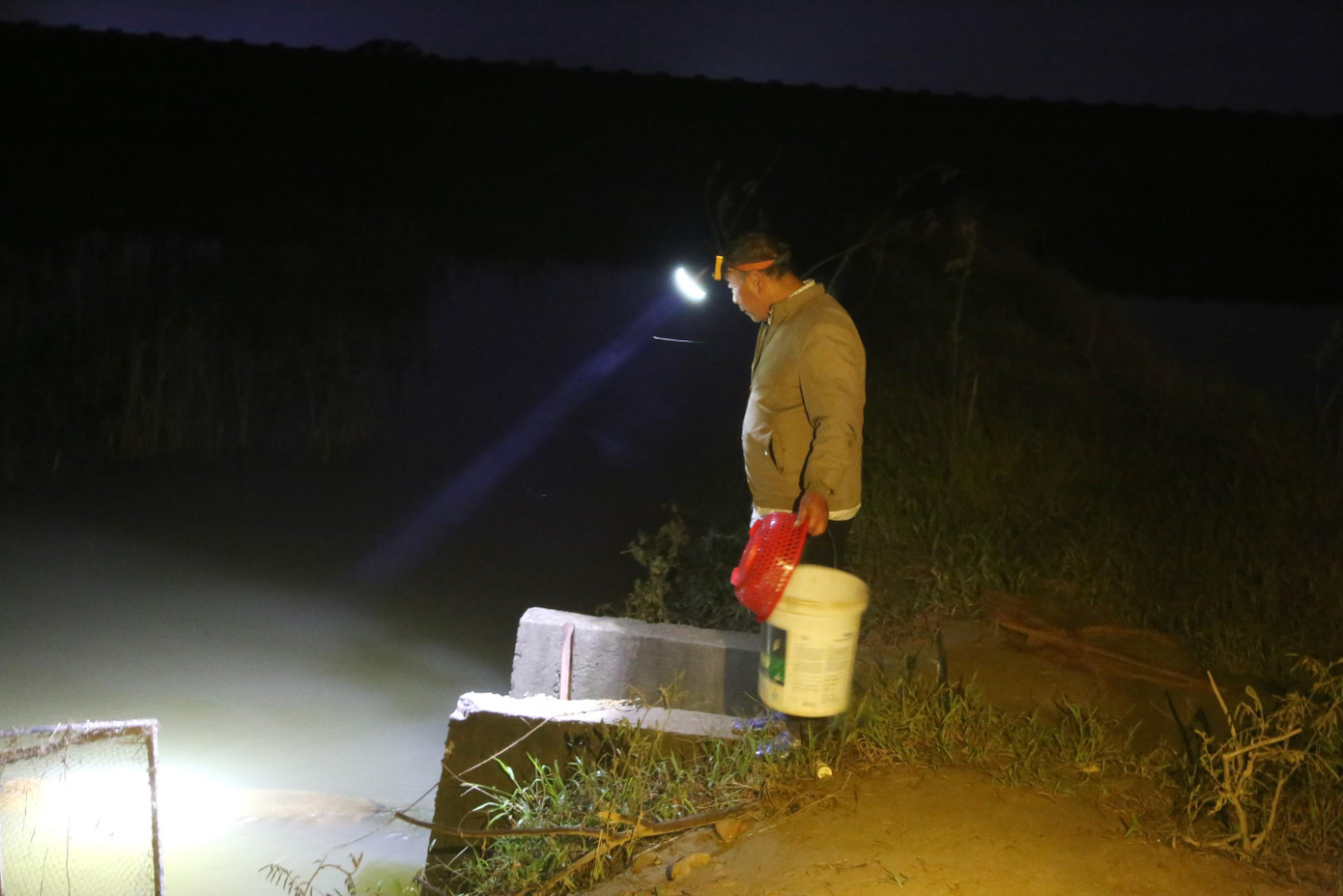 Để bắt được nhiều rươi hơn, người dân cải tiến và sử dụng hệ thống lưới. Đối với những khu vực hệ thống ao hồ, khi thấy rươi nổi, người dân chỉ cần mở cống nước và giăng lưới.