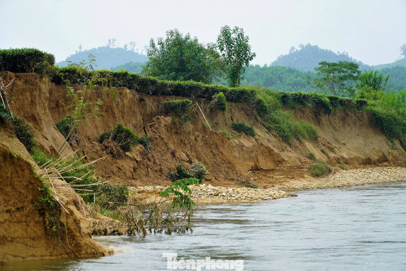 Sự việc này khiến người dân lo lắng khi nước sông ngày càng lấn sâu vào đất sản xuất, gây ảnh hưởng lớn đến nguồn thu từ việc trồng chè.