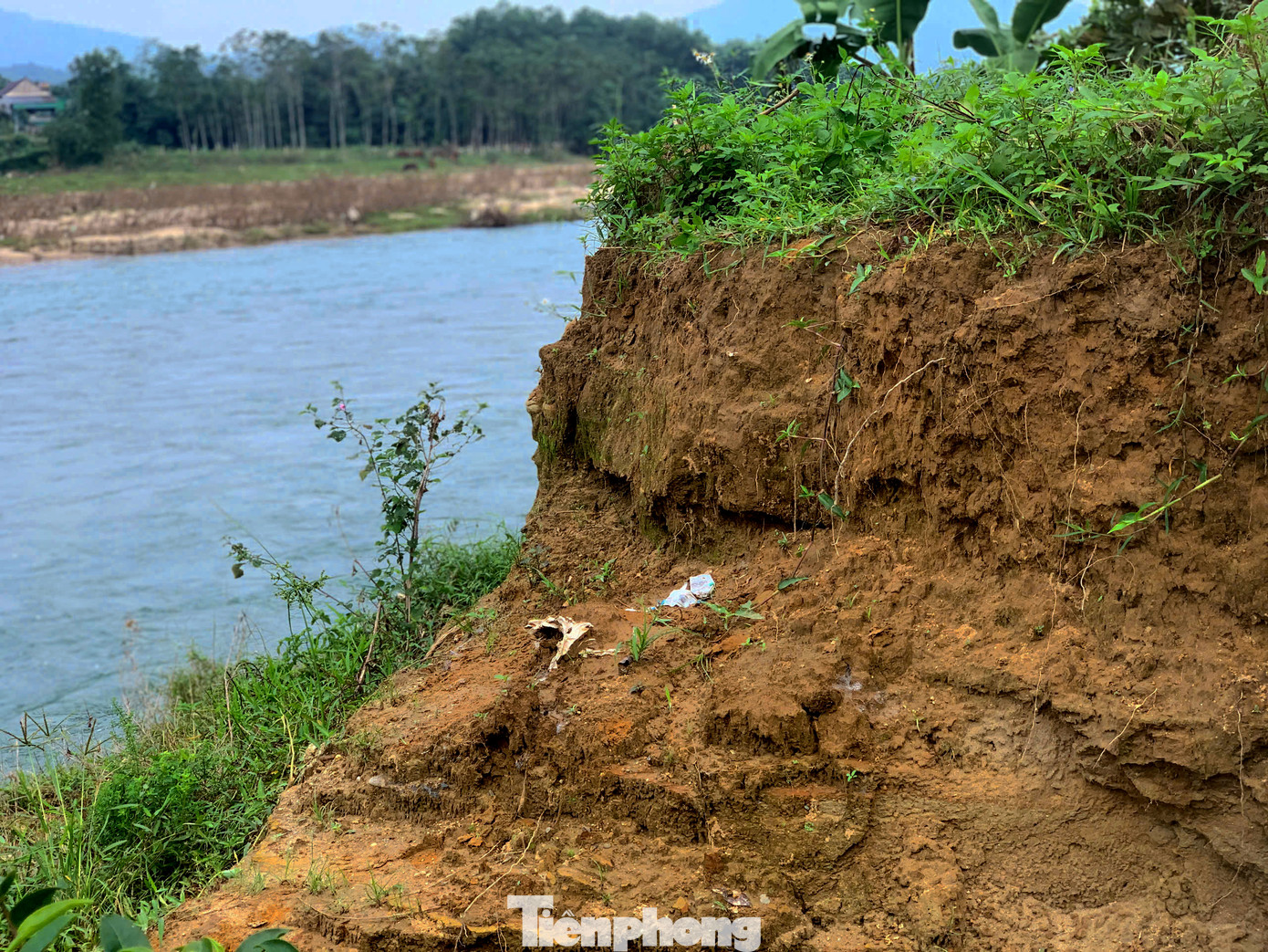 Người dân trồng chè cho biết, nếu không có giải pháp xây kè ngăn chặn, không lâu nữa toàn bộ diện tích đất khu vực này sẽ dần biến mất. Bà con không chỉ mất tư liệu sản xuất mà nguồn thu nhập sau nhiều năm xây dựng cũng cuốn theo dòng nước.