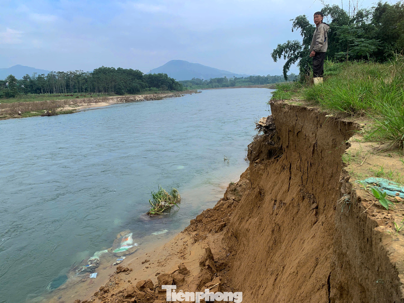 Thống kê, sạt lở sông những năm qua đã ảnh hưởng đến khoảng 10ha chè ven sông Ngàn Phố. Trong đó, diện tích chè đã bị cuốn trôi xuống sông ước tính khoảng 6ha.