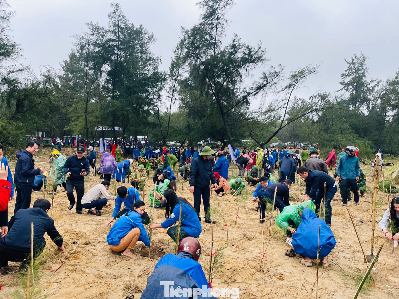Tại chương trình, Hà Tĩnh đã ra quân trồng 300 cây hoa ban tại xã Cẩm Quan, 120.000 cây phi lao chắn sóng tại các xã ven biển huyện Cẩm Xuyên. Tại chương trình, Hà Tĩnh đã ra quân trồng 300 cây hoa ban tại xã Cẩm Quan, 120.000 cây phi lao chắn sóng tại các xã ven biển huyện Cẩm Xuyên.