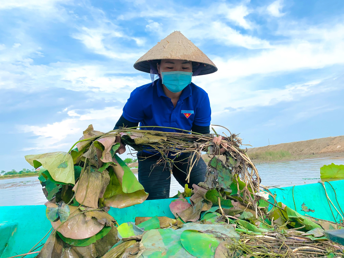 Đây là một trong những mô hình sen mang lại hiệu quả kinh tế, tạo cảnh quan đẹp trên những cánh đồng bỏ hoang. Trong ảnh, thanh niên xã xuống đồng trồng thêm sen cho vụ mới.