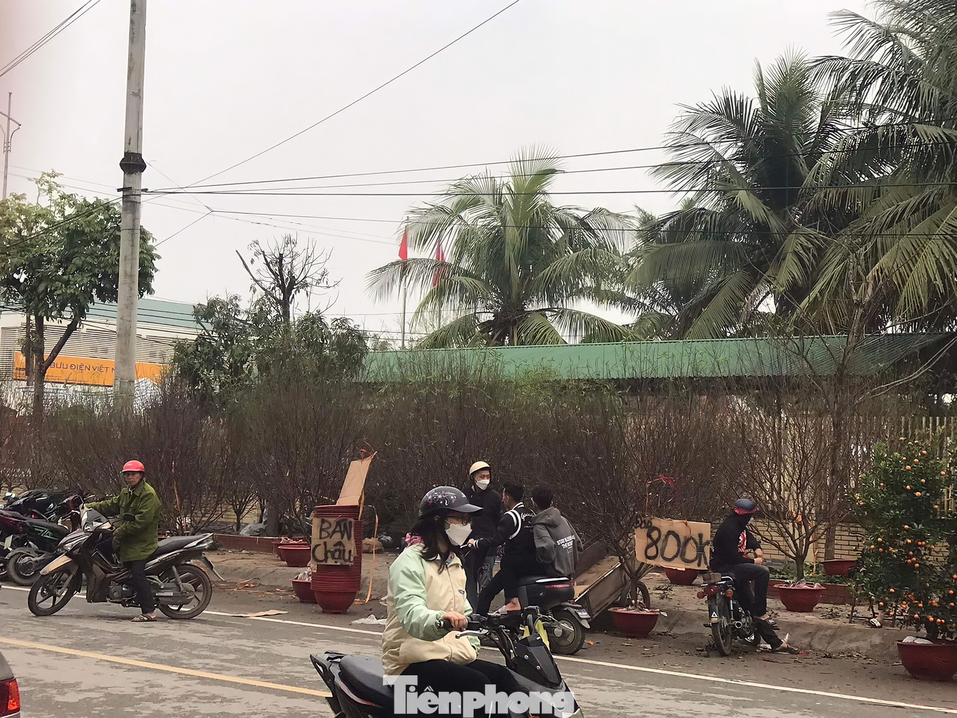 Ngày 20/1 (tức 29 Tết), các gian hàng bán hoa, cây cảnh tại thị trấn Phố Châu (huyện Hương Sơn, tỉnh Hà Tĩnh) vẫn đang ngập tràn hàng hóa. Theo những người bán hoa, cây cảnh, năm nay thị trường tiêu thụ rất kém, hầu như đến nay chỉ mới bán được khoảng 30%.