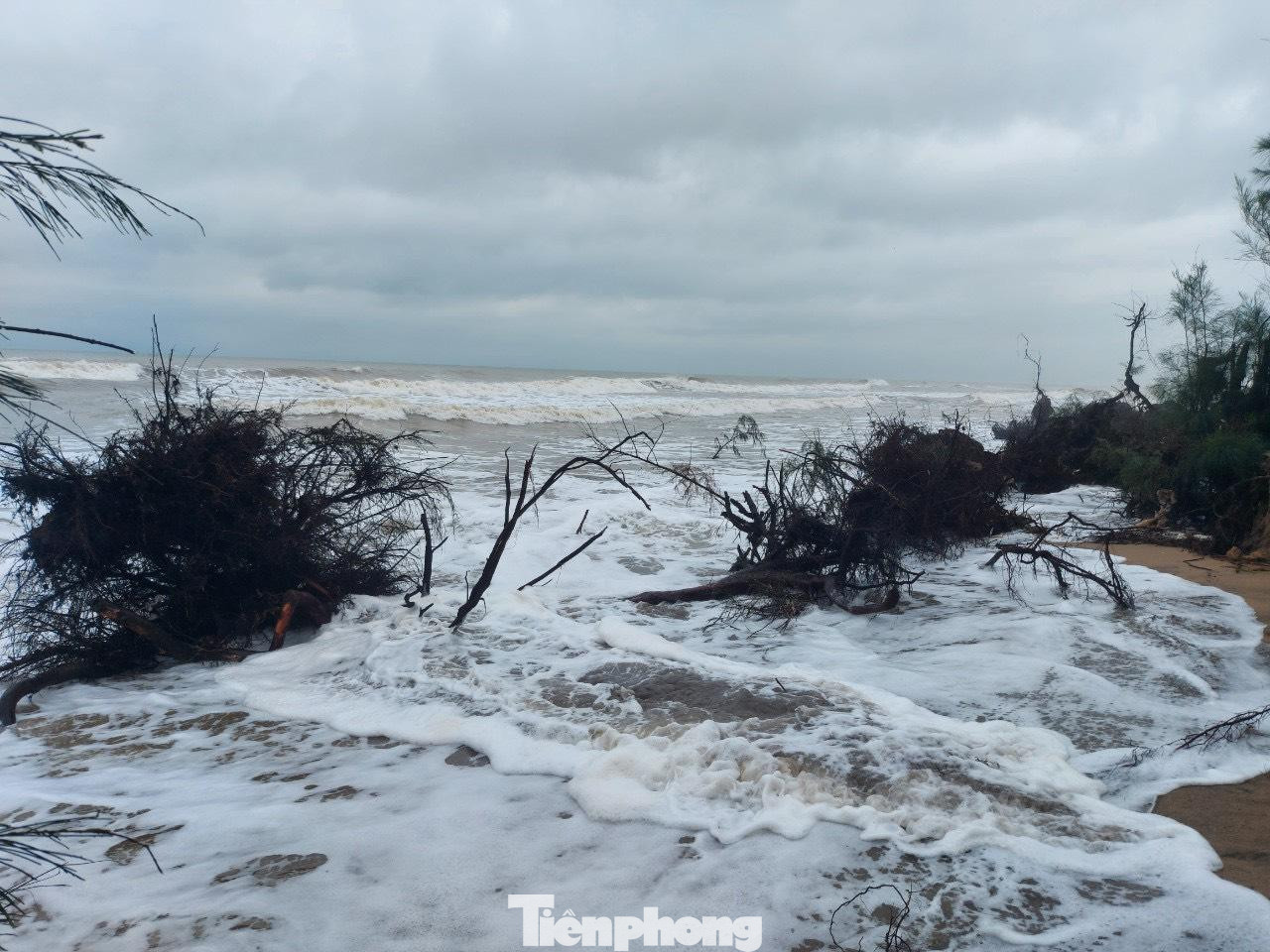 Hơn 2km bờ biển xã Xuân Hội bị sóng đánh gây sạt lở. Tại xã Cương Gián (cách Xuân Hội khoảng 10km) gần đây cũng diễn ra tình trạng biển xâm thực, nước mặn tràn vào ruộng.