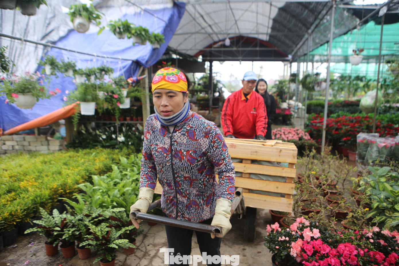 Giữa cái rét cắt da cắt thịt, những người phụ nữ này vẫn mang áo mỏng thấm đẫm mồ hôi.