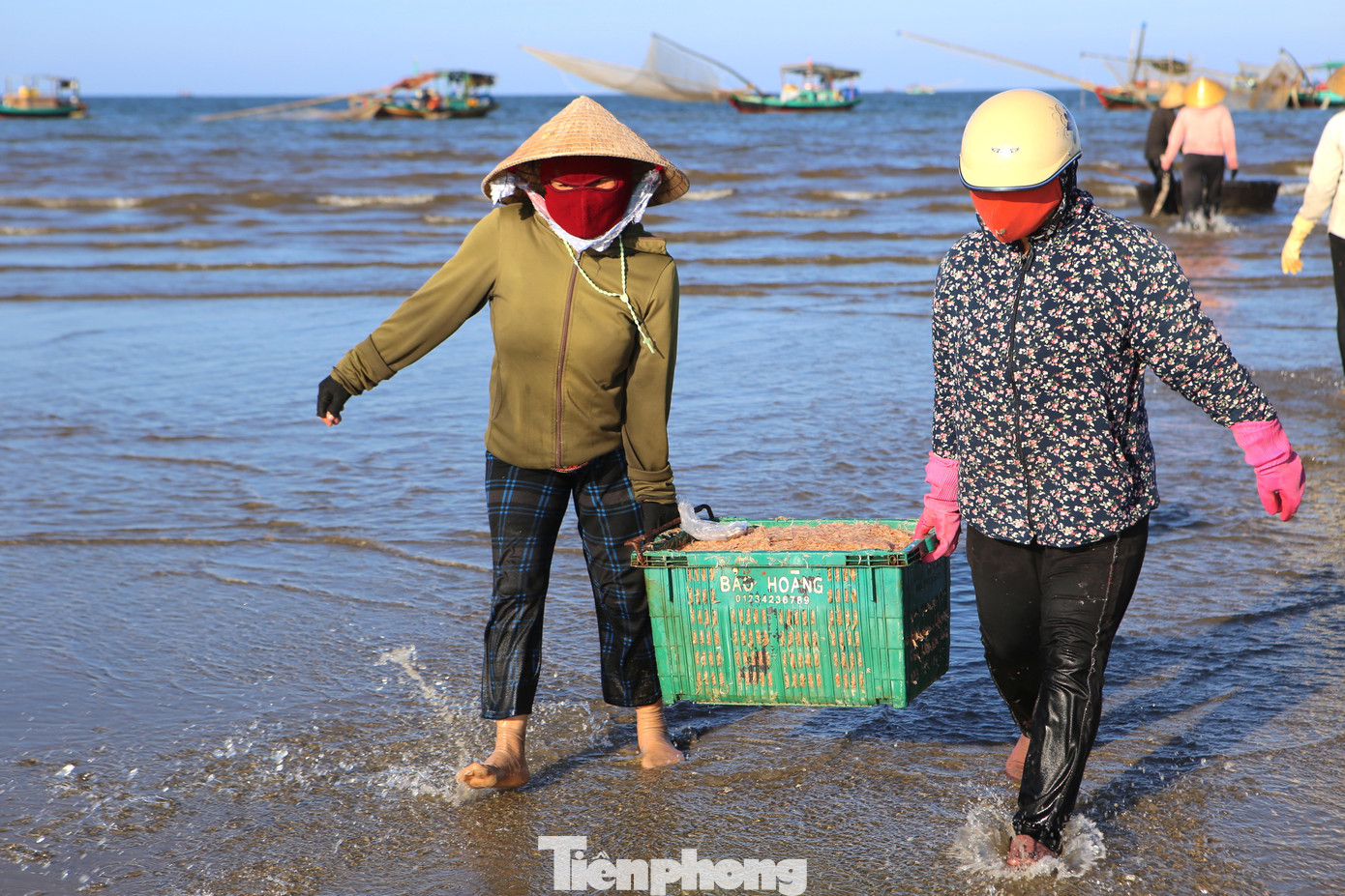 Chị Nguyễn Thị Phương cho biết, 3 ngày nay mỗi ngày bình quân mua được 6 tấn ruốc từ 5 tàu thuyền đánh bắt về bờ. Mùa ruốc bắt đầu từ tháng 10 (ÂL) đến hết tháng 3, nhưng năm nay ruốc đến sớm hơn, ngư dân trúng đậm từ đầu mùa.