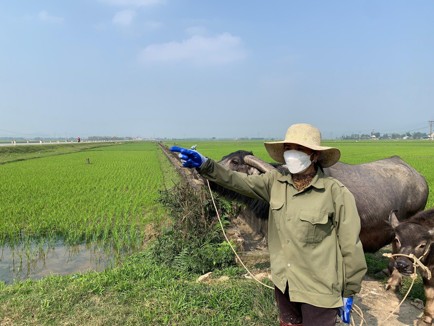 Chị Phạm Thị Thu bức xúc chưa ký nhận tiền đền bù vì giá quá "bèo".
