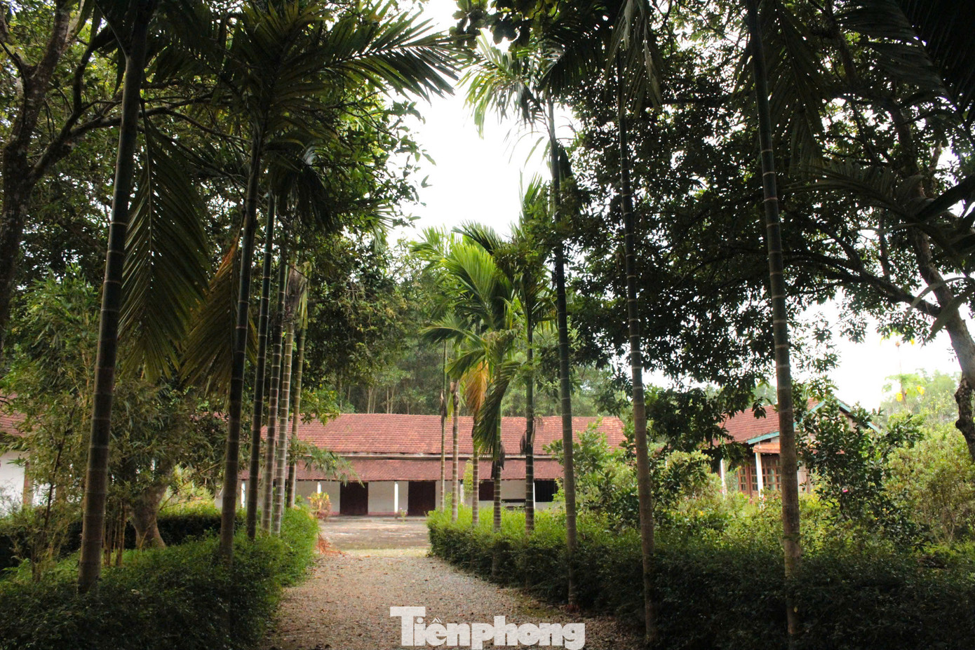 Nổi bật trong khuôn viên trung tâm là 3 ngôi nhà gỗ được thiết kế theo kiểu truyền thống nông thôn xưa, mái lợp tranh và ngói.