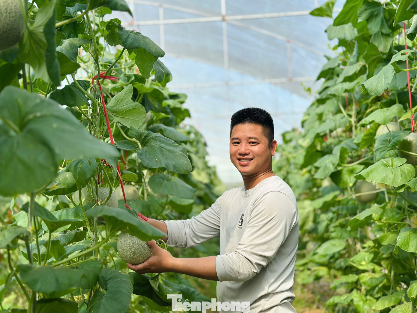 Anh Lữ Văn Anh (SN 1996), sinh ra và lớn lên tại huyện miền núi Quỳ Châu, Nghệ An. Sau khi tốt nghiệp Ngành Khuyến nông, trường Đại học Vinh, chàng kỹ sư tiếp tục đi du học tại Israel với niềm ấp ủ học tập kinh nghiệm để trở về quê hương lập nghiệp.