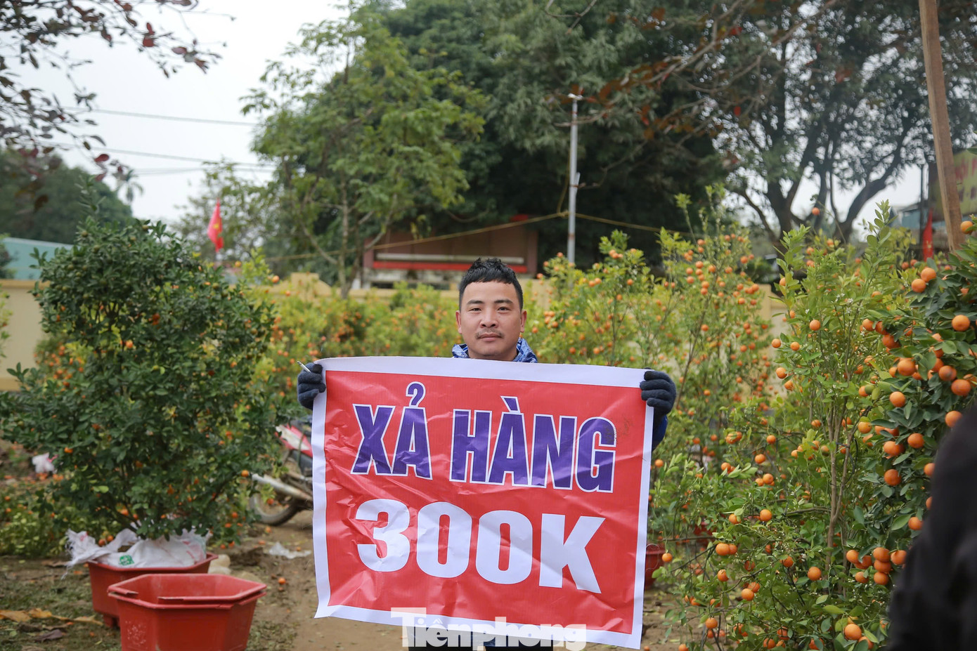 Nhiều tiểu thương đặt biển hạ giá gốc quất, đào 200-300 ngàn đồng để vớt vát nhưng thực tế người mua rất ít.