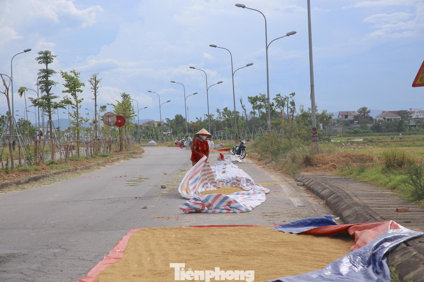 "Cứ đến mùa thu hoạch lúa, người dân ở đây lại phơi lúa lấn chiếm hết làn đường dành cho người tham gia giao thông. Họ còn bỏ nhiều cây, đá, để cố định bạt phơi, gây nguy hiểm. Tất nhiên chỉ phơi có vài ngày nhưng ở thành phố mà để như thế này rất mất mỹ quan đô thị", một tài xế lưu thông trên tuyến đường này chia sẻ.