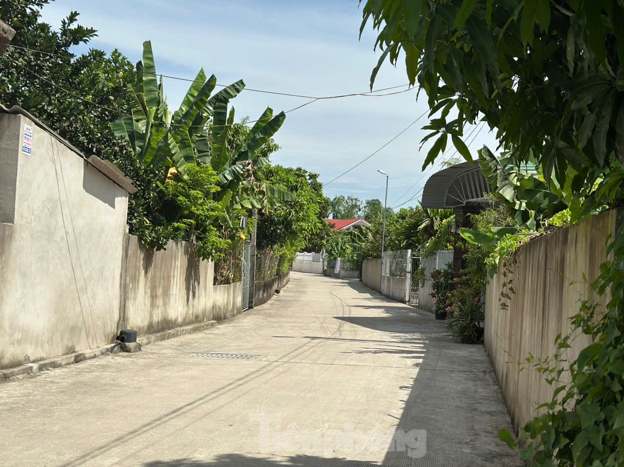 Con đường dẫn vào cụm dân cư Nương Dòng.