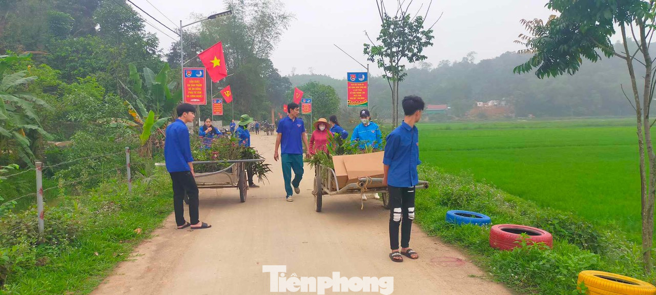 Công trình đường đèn năng lượng kết hợp đường hoa lốp hoa tái chế tại thôn Thượng Lĩnh do đoàn thanh niên tham gia hỗ trợ xây dựng.