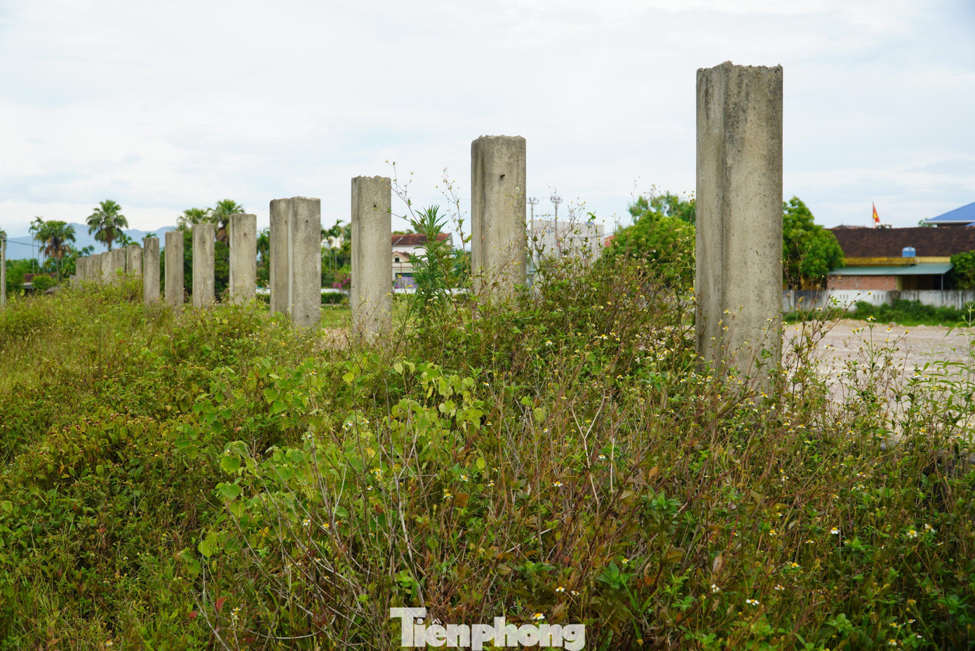 Xung quanh khuôn viên được xây dựng hàng rào, nhưng chưa hoàn thiện. Xung quanh khuôn viên được xây dựng hàng rào, nhưng chưa hoàn thiện.
