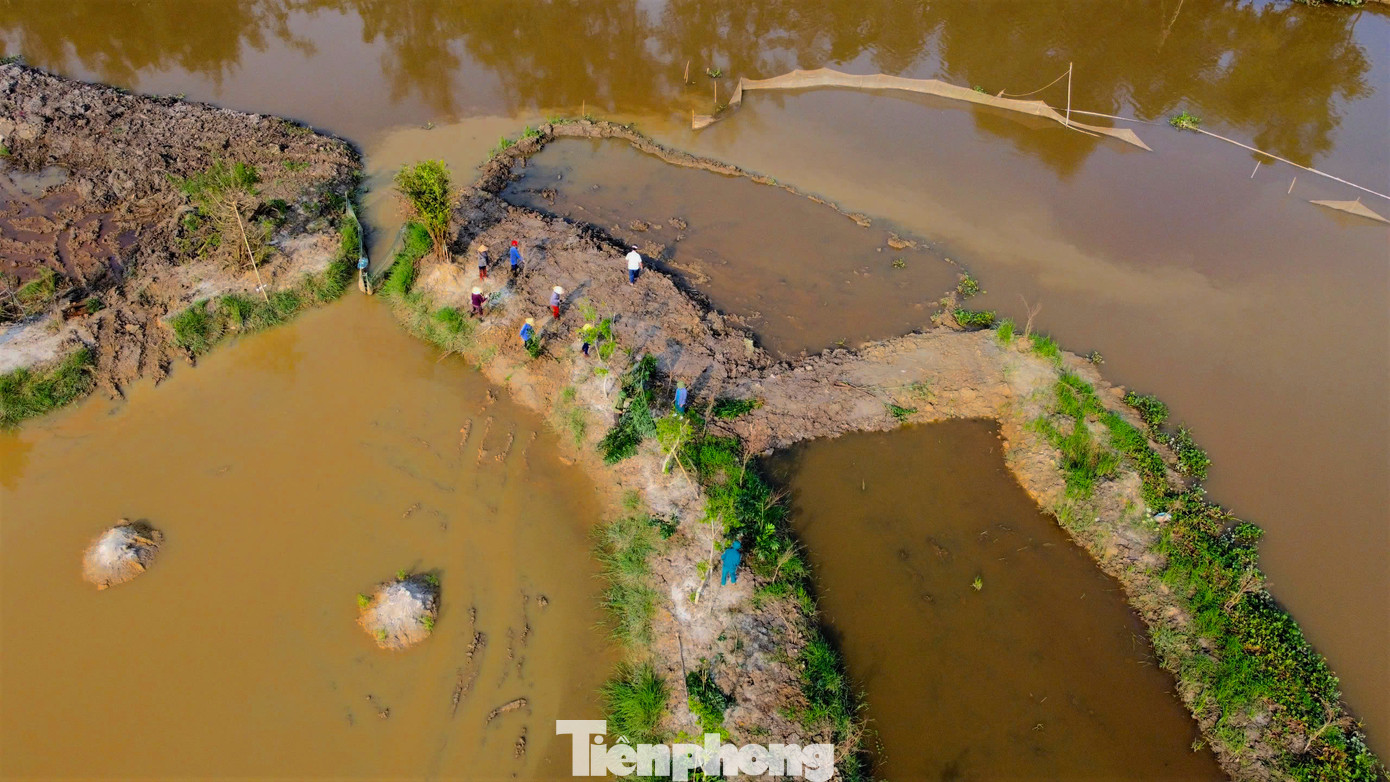 Người dân tập trung trồng cây tại khu vực sông Đông.