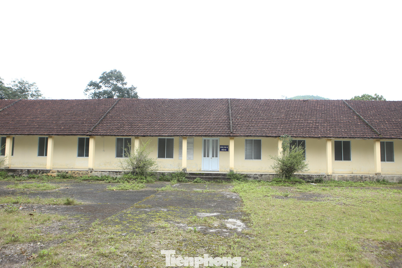 Một năm đầu hoạt động, có hàng chục nhân viên làm việc, cung cấp nguyên liệu thỏ cho nhà máy. Tuy nhiên, giữa năm 2016, nhà máy gặp khó do nhiều người dân dừng nuôi giống thỏ New Zealand Rata.