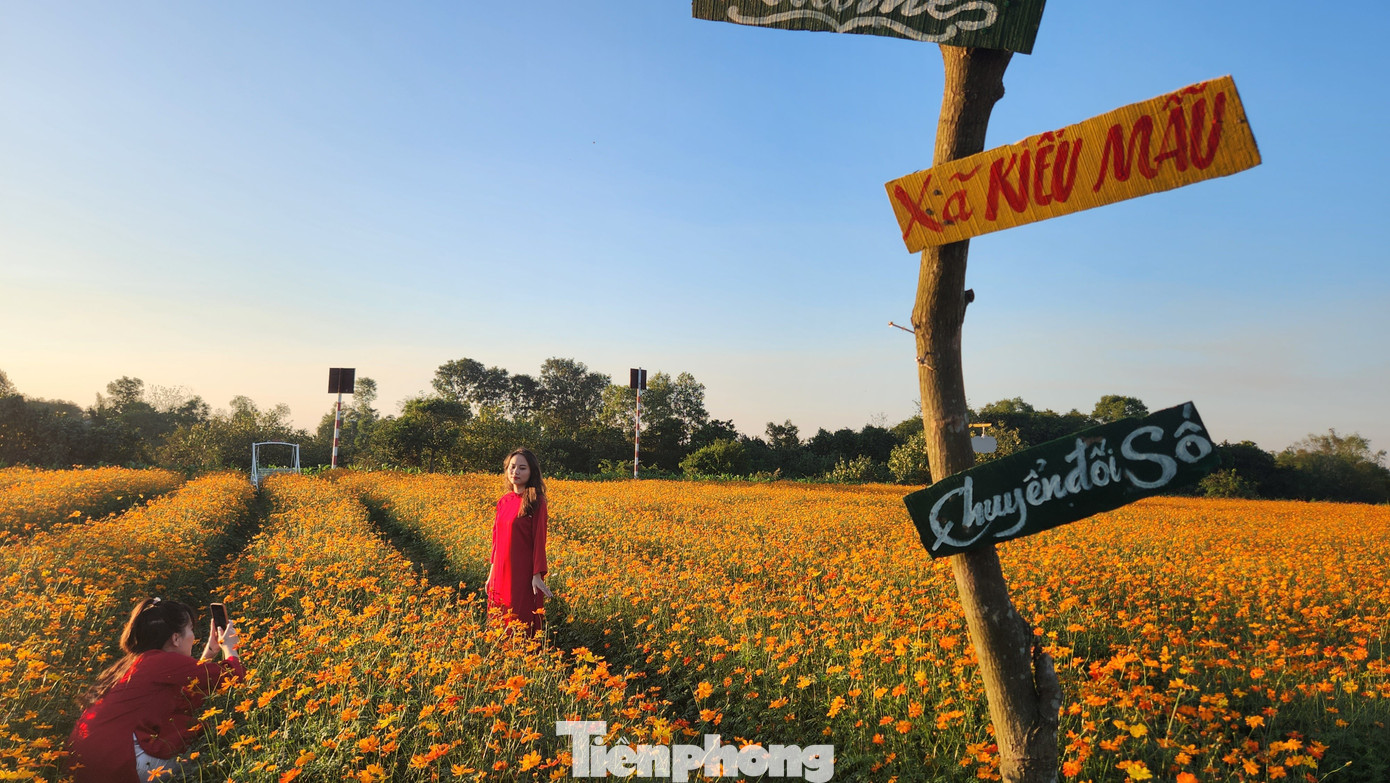 Người dân được miễn phí vào tham quan, chụp ảnh trong vườn hoa nhưng phải tuân thủ nội quy.