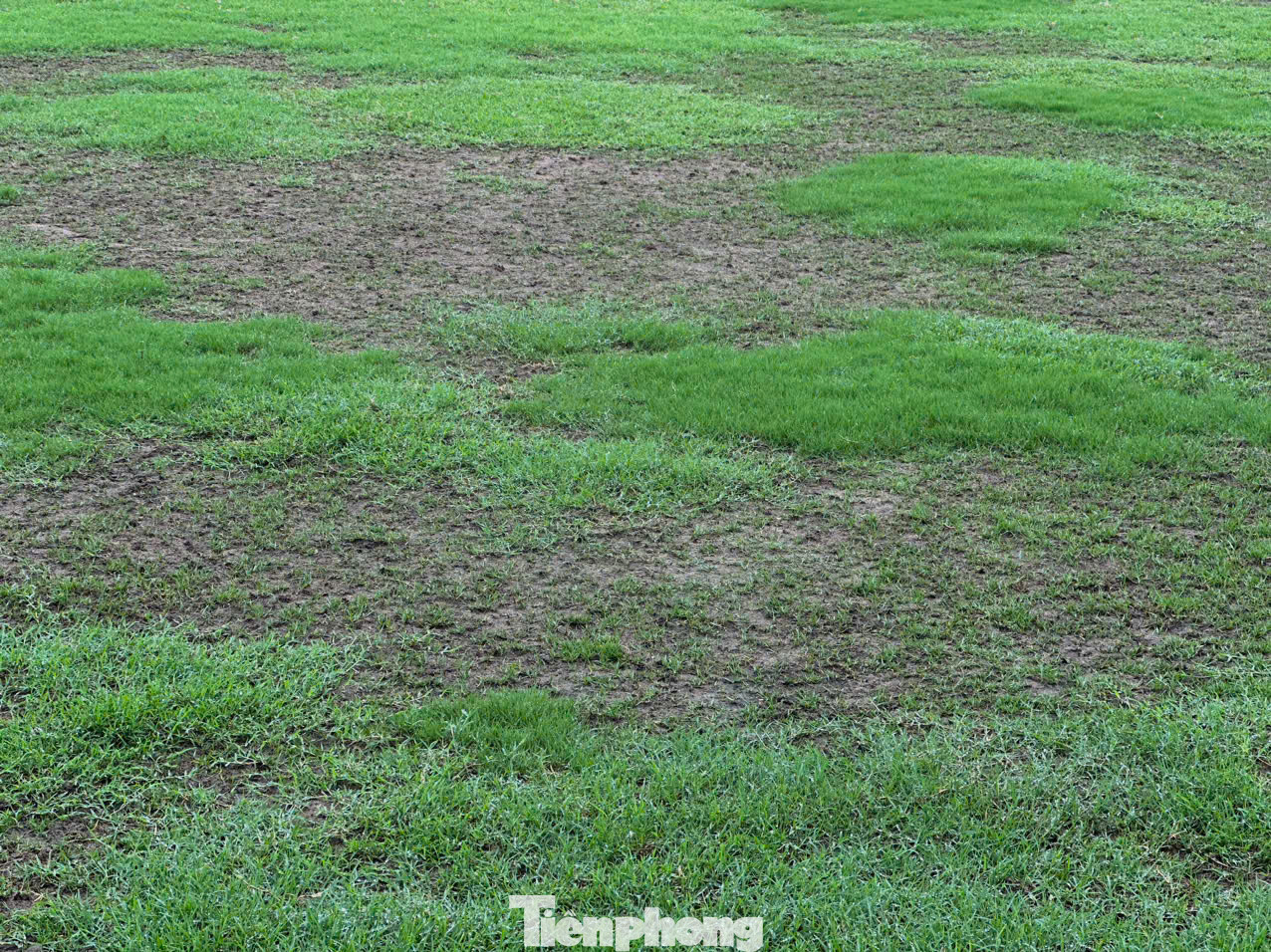Ngoài ra, còn nguyên nhân khác là do Câu lạc bộ Hồng Lĩnh Hà Tĩnh không có sân dành cho tập luyện nên buộc phải sử dụng sân vận động Hà Tĩnh để tập luyện dẫn tới mặt thảm cỏ khó hồi phục nhanh trở lại. Ngoài ra, còn nguyên nhân khác là do Câu lạc bộ Hồng Lĩnh Hà Tĩnh không có sân dành cho tập luyện nên buộc phải sử dụng sân vận động Hà Tĩnh để tập luyện dẫn tới mặt thảm cỏ khó hồi phục nhanh trở lại.