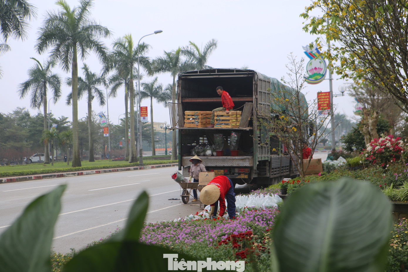 Thời điểm này hoa, cây cảnh về nhiều, công việc làm không ngớt tay, những người phụ nữ kiếm thêm thu nhập để trang trải cuộc sống.