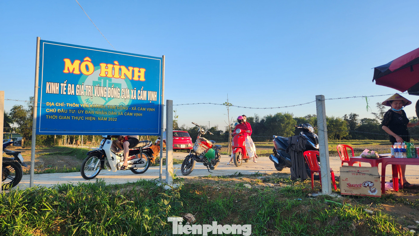 Điều đặc biệt, du khách đến tham quan không bị thu phí mà đóng góp tuỳ tâm để địa phương duy trì việc chăm sóc và mua thêm giống hoa để trồng.