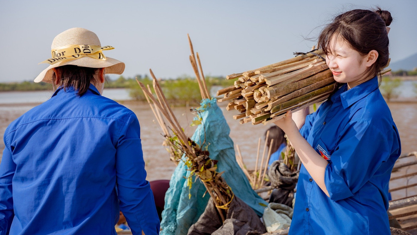 Nhóm bạn trẻ cùng sử dụng những cọc tre để bảo vệ xung quanh cây khi trồng phủ xanh rừng ngập mặn.
