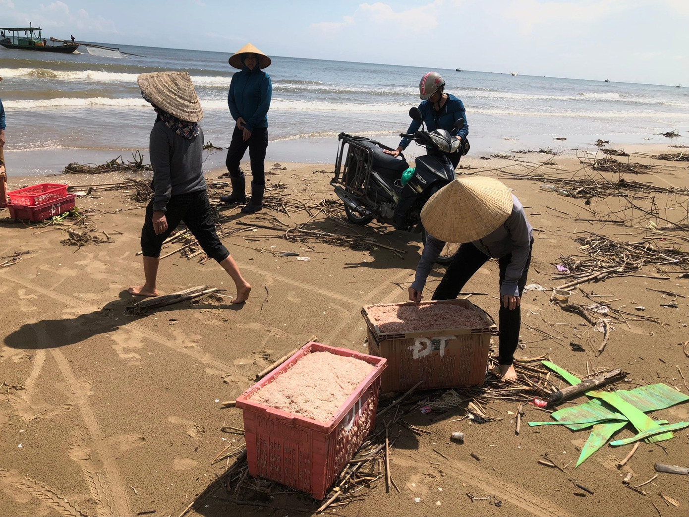 Theo ngư dân xã Thạch Hải, về mùa này, cứ sau mỗi lần biển động, mưa lớn và sau đó khi trời yên biển lặng trở lại thì có nhiều đàn tép bơi vào gần bờ. Đây là dịp để ngư dân có thêm thu nhập nhờ đánh bắt ruốc.