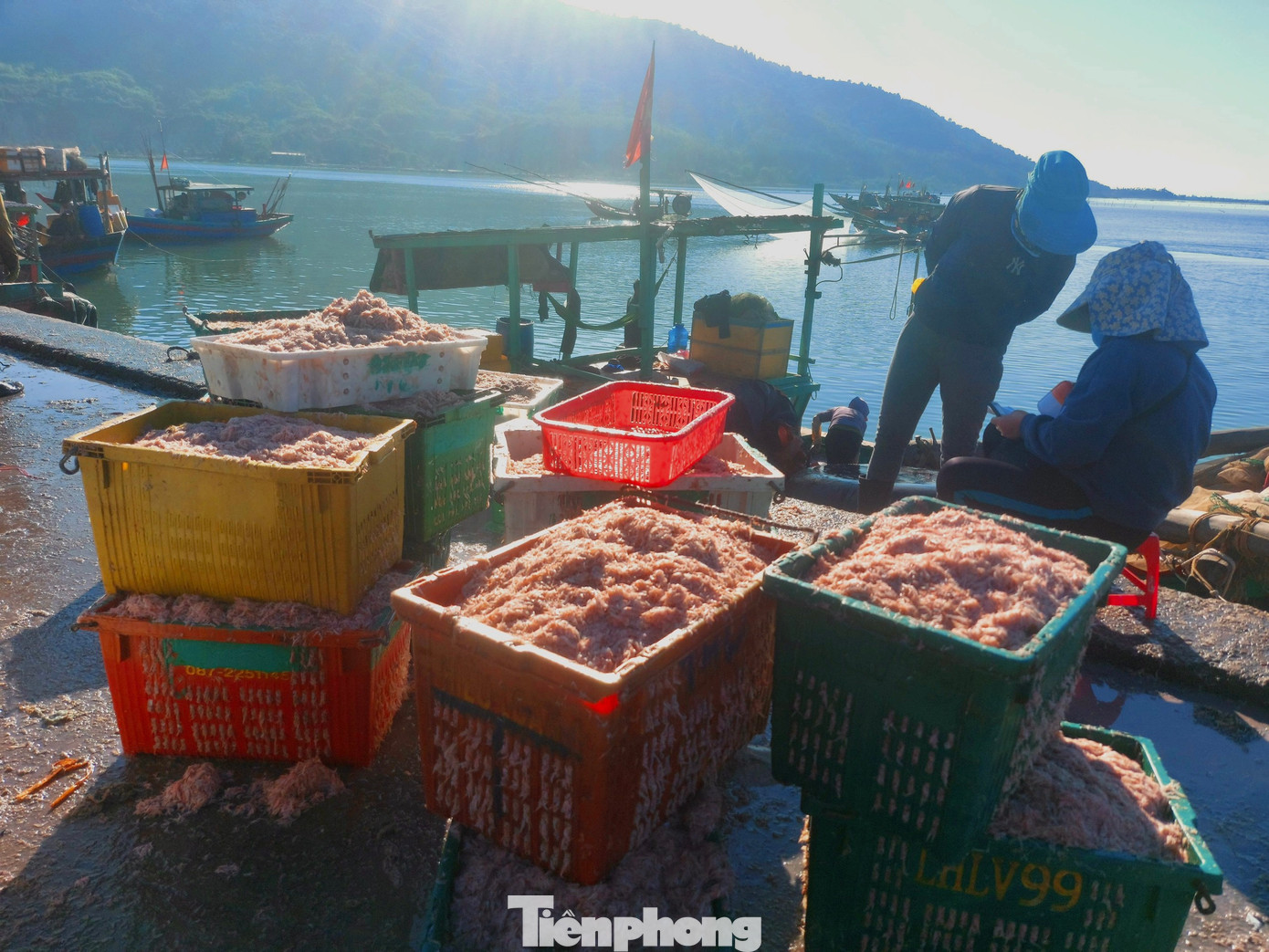 Hàng tấn ruốc được đưa từ thuyền lên bờ. Hàng tấn ruốc được đưa từ thuyền lên bờ.