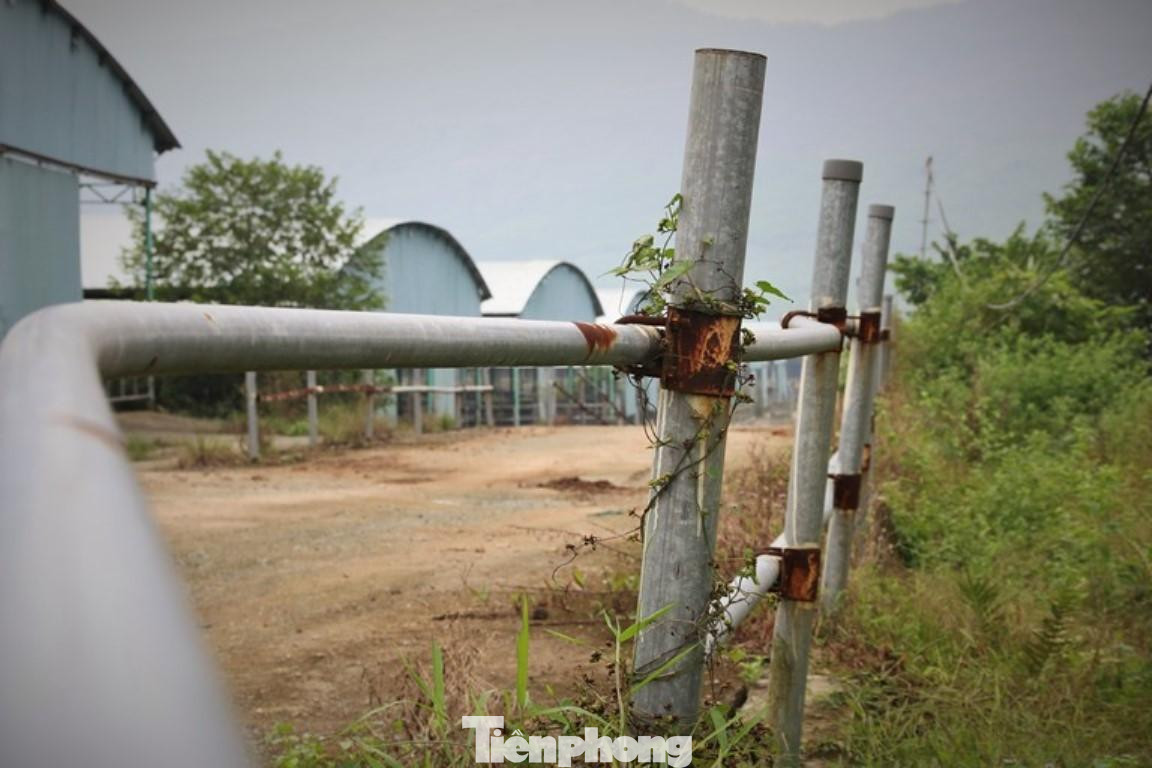 Khung cảnh bên trong dự án.