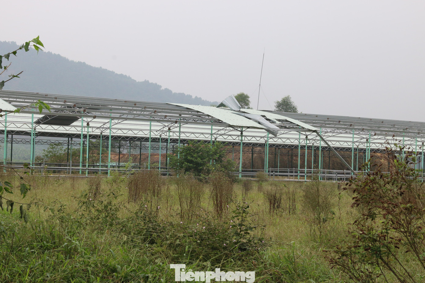 Nhiều hạng mục bên trong dự án bỏ hoang.