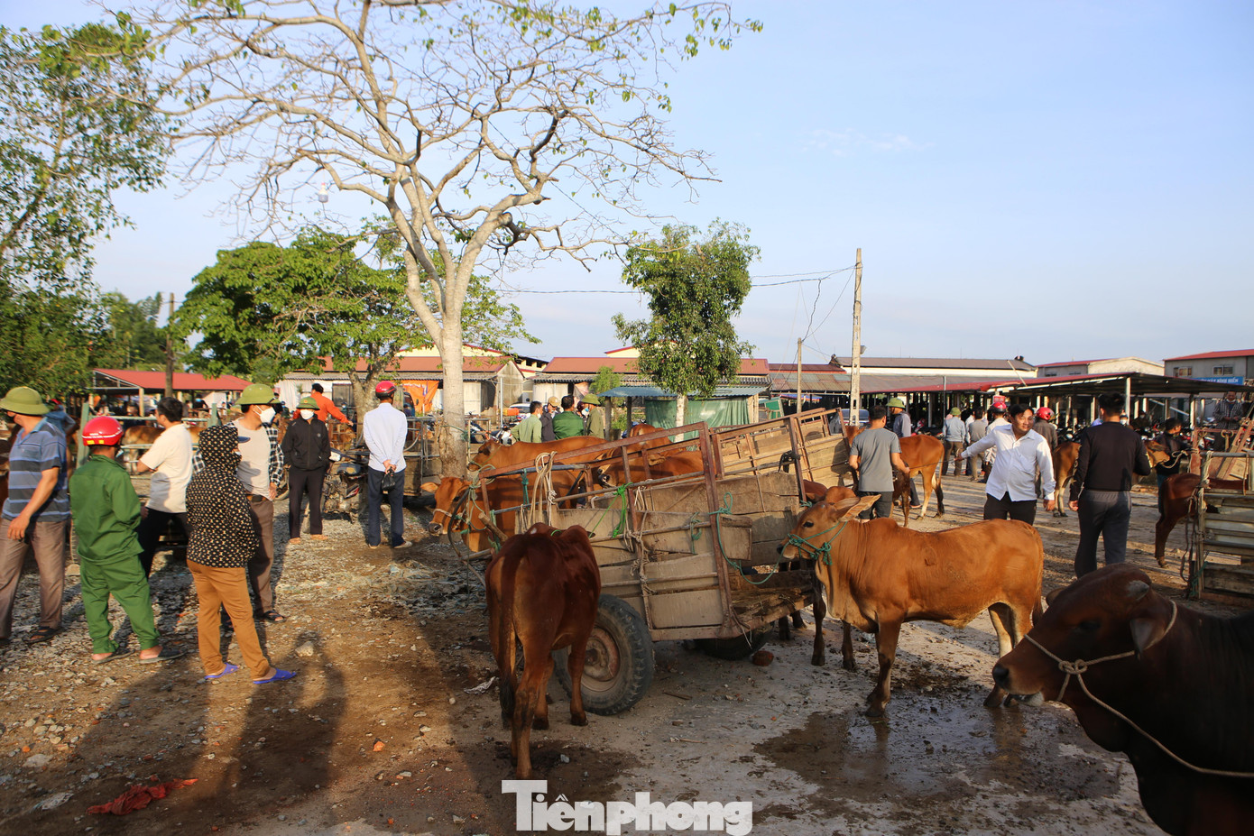 Ở chợ có người đến để mua bán, nhưng cũng có người chỉ đến xem cho vui. Cũng chính vì nét độc đáo này mà phiên chợ Nhe là nơi tìm đến của đông đảo du khách gần xa. Qua thời gian, chợ có sự thay đổi cùng nhịp sống hiện đại nhưng vẫn mang đậm nét mộc mạc, giản dị.