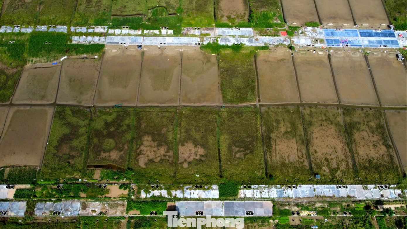 Theo người dân địa phương, nghề muối từng là nghề chính của người dân nơi đây, giúp họ có kinh tế và cuộc sống đảm bảo. Tuy nhiên, giá muối tiêu thụ gần đây khó khăn, rất thấp nên người dân không còn mặn mà với nghề mà chuyển đổi nghề khác.