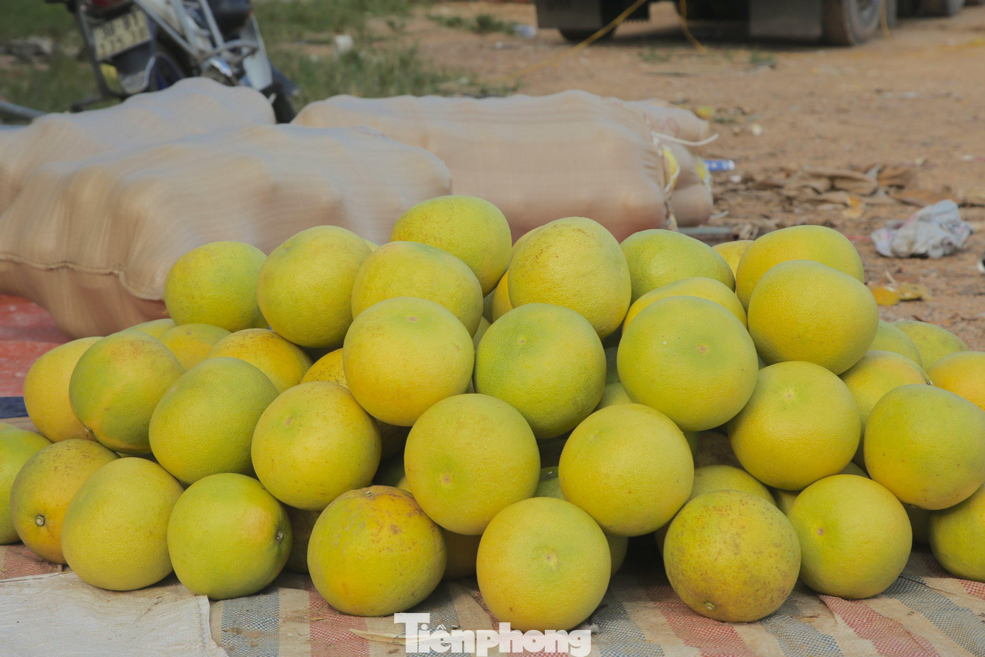 Tháng 3/2021, Hội Kỷ lục gia công bố bưởi Phúc Trạch nằm trong top 100 quà tặng Việt Nam.