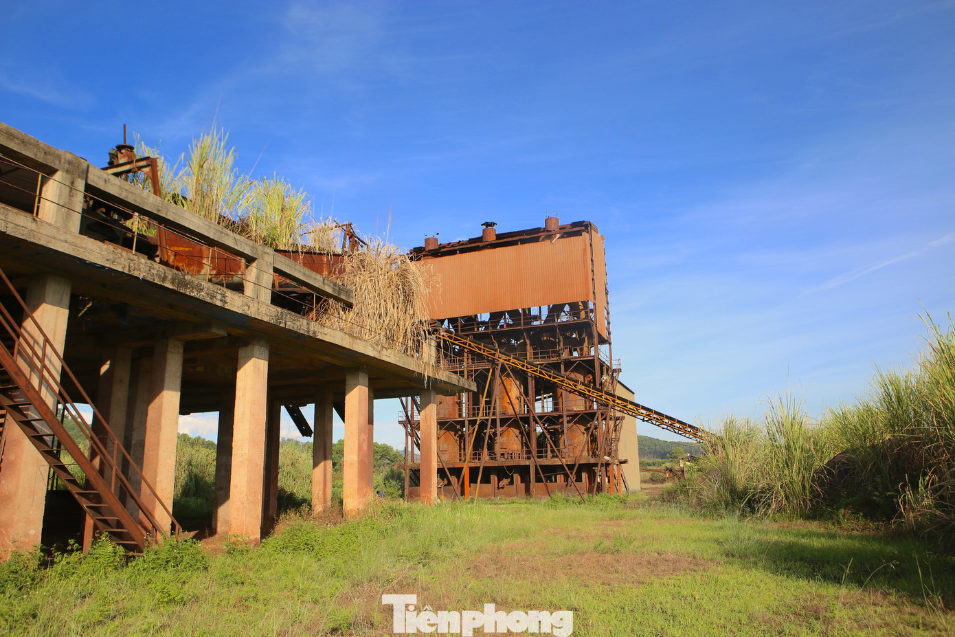 Hiện trạng bên trong dự án nhà máy sắt hơn 150 tỷ bỏ hoang. Hiện trạng bên trong dự án nhà máy sắt hơn 150 tỷ bỏ hoang.