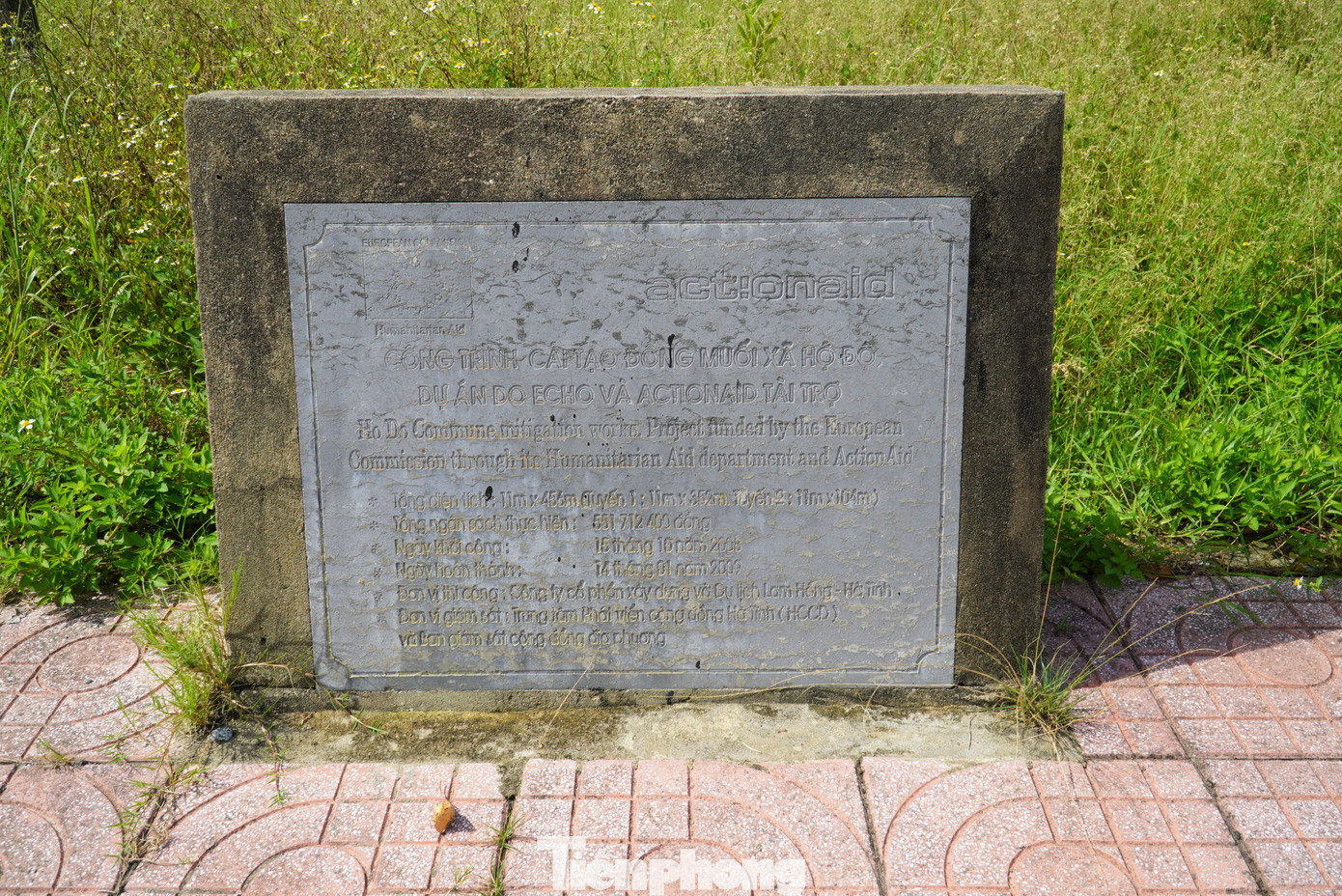 Dù đang vào vụ làm nghề, nhưng các cánh đồng muối ở xã Hộ Độ giờ trơ trọi giữa nắng gió, cỏ dại mọc um tùm.