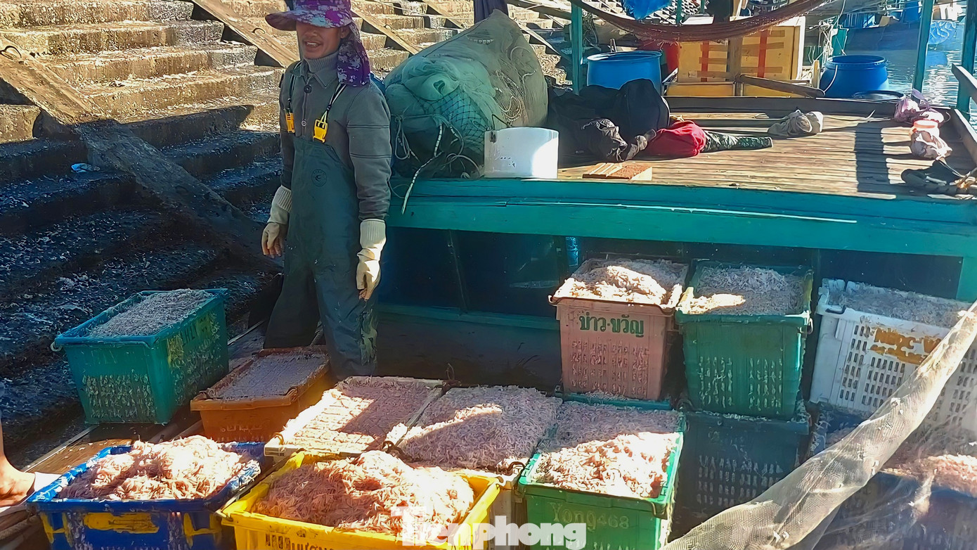 Những ngư dân bày tỏ niềm vui khi dịp biển cuối năm lại có thêm thu nhập để về đón năm mới. Những ngư dân bày tỏ niềm vui khi dịp biển cuối năm lại có thêm thu nhập để về đón năm mới.