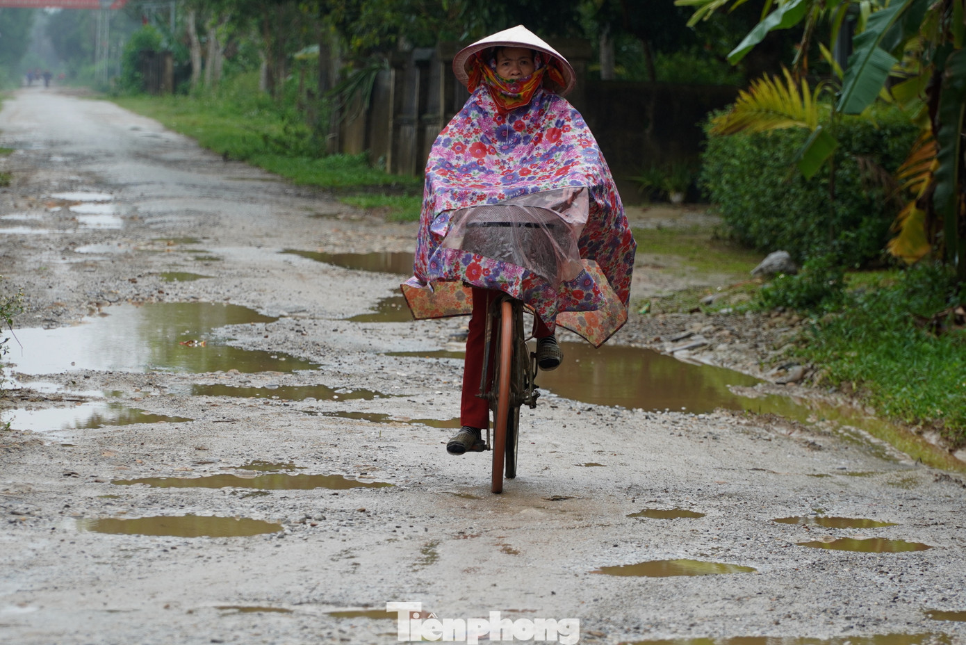 Bà Nguyễn Thị Quý (50 tuổi, trú thôn Trường Sơn, xã Phú Gia) cho biết đây là tuyến đường duy nhất đến trung tâm xã và ra đường mòn Hồ Chí Minh. “Dọc tuyến này đã hư hỏng nặng, khổ nhất vào mùa mưa, đường xuất hiện nhiều vũng nước sâu nên đi lại rất khó khăn. Chúng tôi mong dự án đường được triển khai để người dân phát triển kinh tế, giao thông thuận tiện hơn”, bà Quý nói.