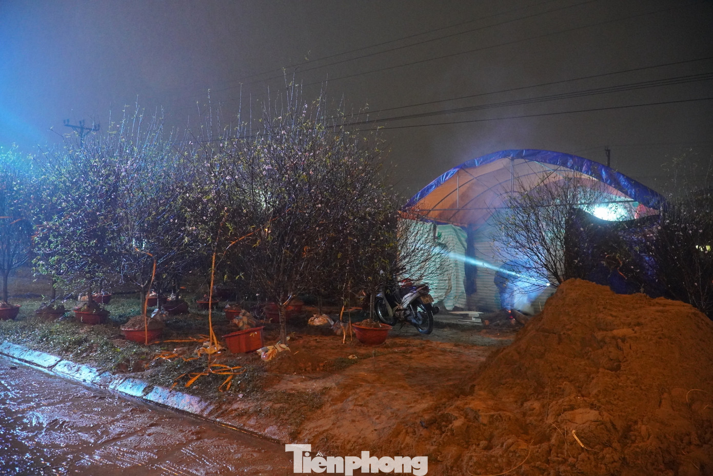 Càng về đêm không khí rất lạnh, nhiều gia đình vẫn phải thay phiên nhau túc trực để canh đào Tết.