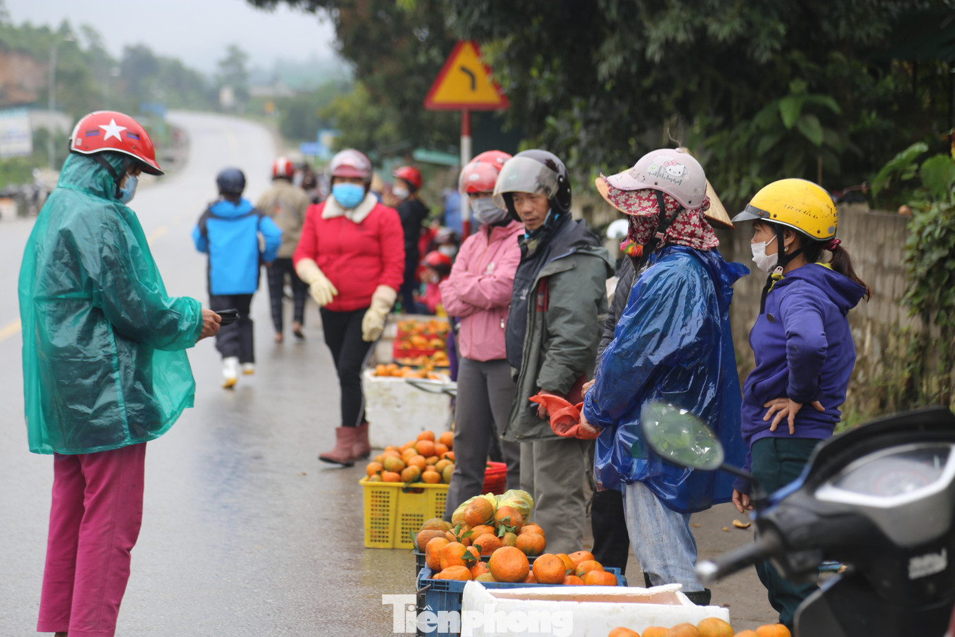 Đặc sản cam bù Hương Sơn đã vươn ra thị trường ngoài tỉnh như Nghệ An, Quảng Bình, Hà Nội...