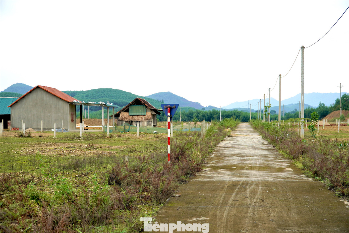 Theo kế hoạch, dự án được triển khai từ năm 2017-2019, mục tiêu đề ra sẽ tái định cư cho 165 hộ dân thường xuyên chịu ảnh hưởng mưa lũ của 2 thôn Trung Thượng và Ấp Tiến (xã Điền Mỹ). Tuy nhiên, do vướng mặt bằng, thiếu vốn nên tháng 11/2020 dự án mới bắt đầu được triển khai.