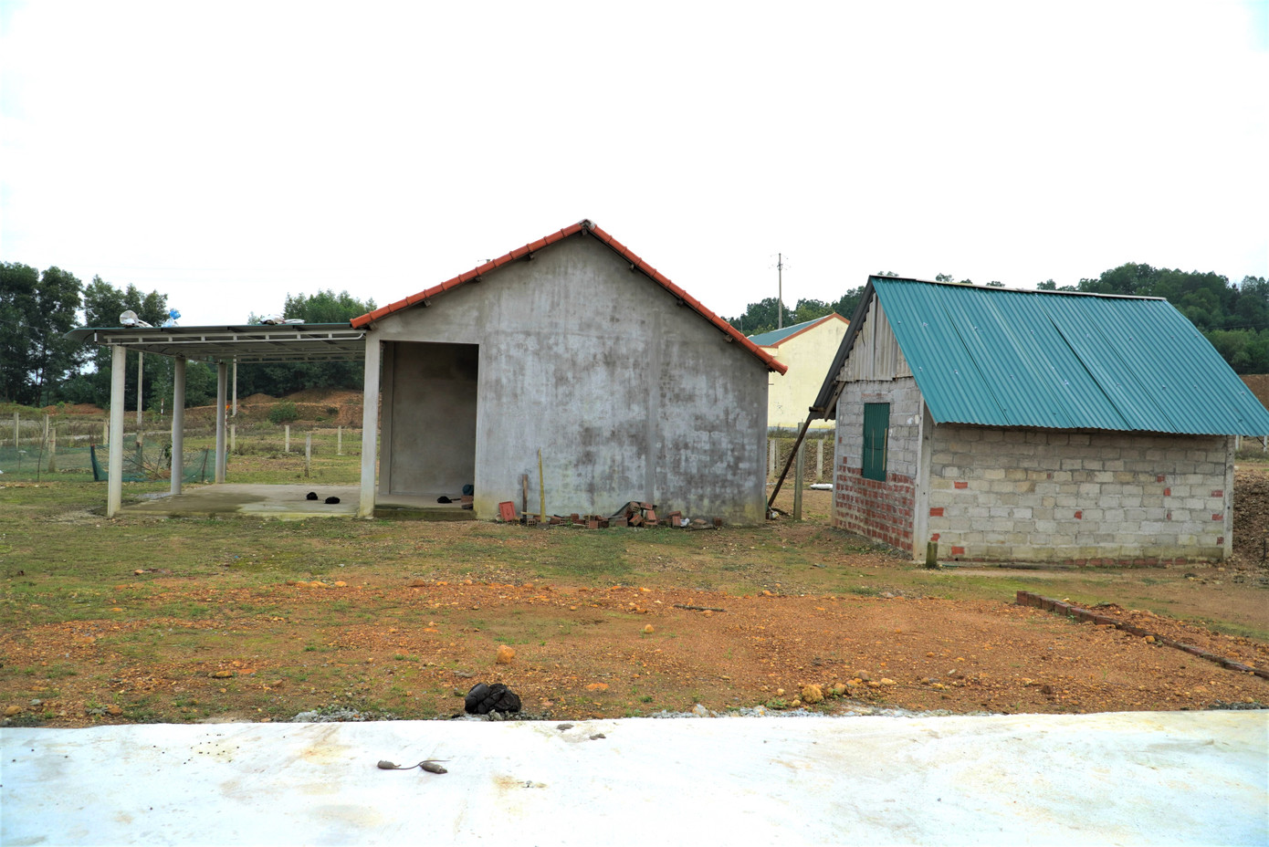 Qua ghi nhận, hiện tại ở khu tái định cư mới có 3 hộ xây nhà tạm trên đất. Song chưa đến ở vì hệ thống điện đang trong giai đoạn hoàn thiện, nước chưa có.