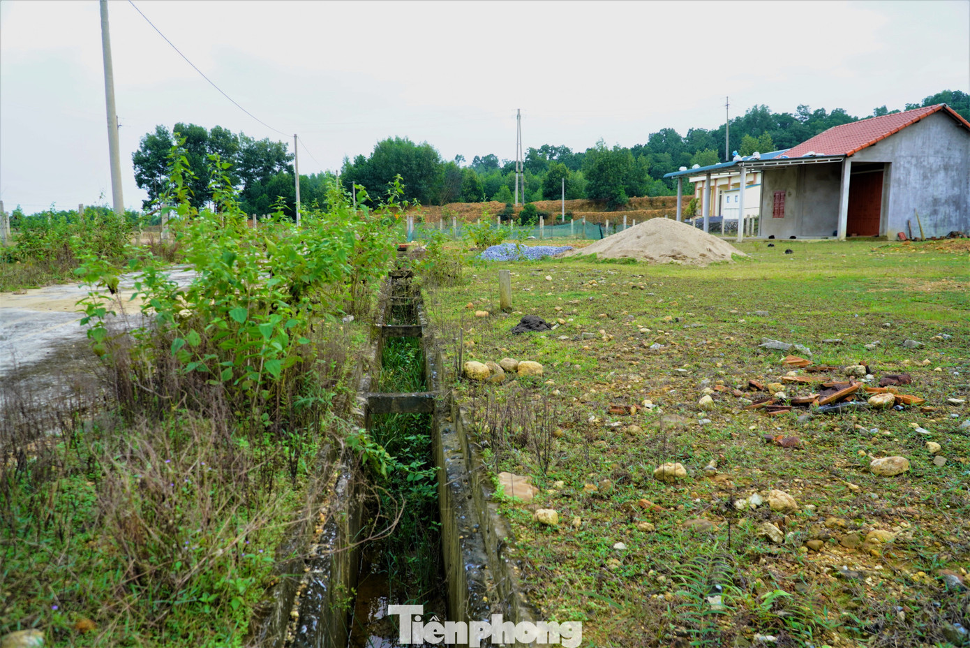 Dự án được xây dựng đồng bộ hạ tầng điện, đường, mương thoát nước. Song đến nay điện vẫn chưa được đóng, nước còn thiếu. Trong ảnh khuôn viên khu tái định cư trở nên hoang vắng, cây cỏ mọc um tùm.